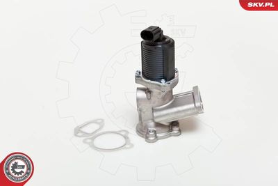 EGR Valve 14SKV039