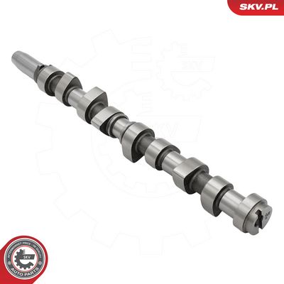 AX CU CAME ESEN SKV 80SKV059 1