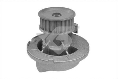 водна помпа, охлаждане на двигателя HUTCHINSON WP0044V