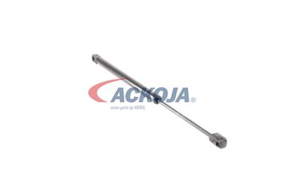AMORTIZOR PORTBAGAJ ACKOJA A520155 21