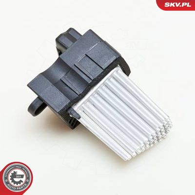 Varža, vidaus pūtiklis