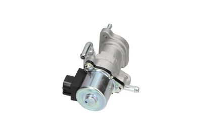 SUPAPA EGR Kavo Parts EEG9019 11