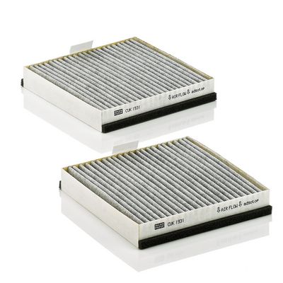 Filter, Innenraumluft