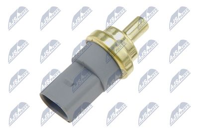 SENZOR TEMPERATURA LICHID DE RACIRE NTY ECTWW000 1