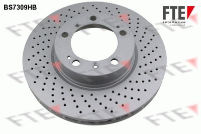 Тормозной диск FTE BS7309HB для PORSCHE CAYMAN
