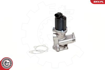 EGR Valve 14SKV039