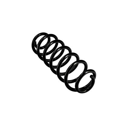 ARC SPIRAL EIBACH R10122 11