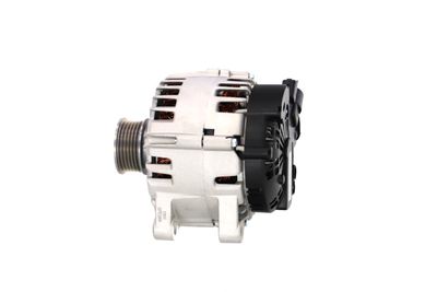 GENERATOR / ALTERNATOR REMANTE 011003000825R 18