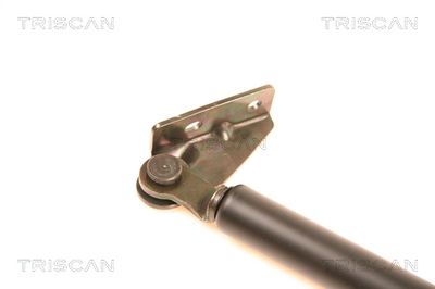 AMORTIZOR PORTBAGAJ KAWE 871018201 1