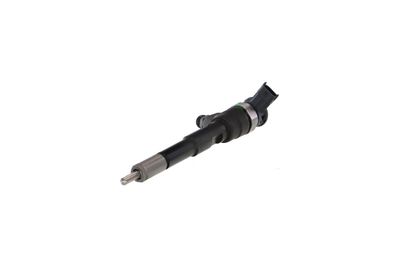 INJECTOR REMANTE 002003001494R 6