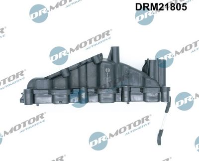 Intake Manifold Module DRM21805