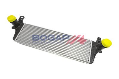 INTERCOOLER COMPRESOR BOGAP A4220109 4