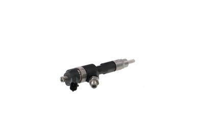 INJECTOR REMANTE 002003001028R 31