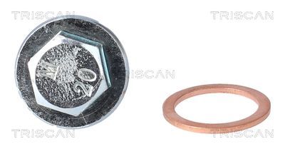 SURUB DE GOLIRE BAIA DE ULEI TRISCAN 95001022 1