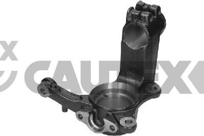 Поворотный кулак, подвеска колеса CAUTEX 774472 для VW MULTIVAN