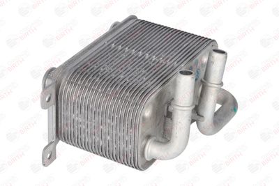 RADIATOR ULEI ULEI MOTOR BIRTH 80261 11