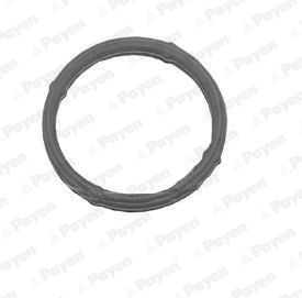 Прокладка, впускной коллектор PAYEN JD5807 для VW FOX