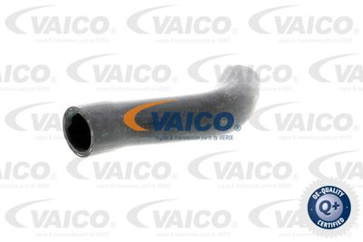 Шланг радиатора VAICO V40-1334 для MAZDA 818