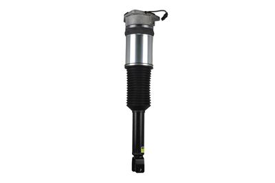 LUFTFEDERBEIN Arnott AS2958 11