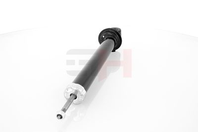 AMORTIZOR GH GH304737 16