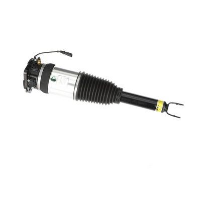 LUFTFEDERBEIN Arnott AS2969 53