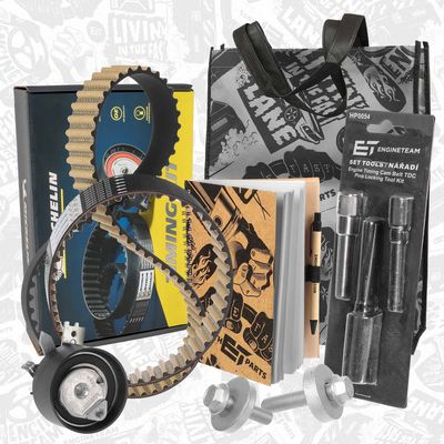 SET CUREA DE DISTRIBUTIE ET ENGINETEAM RM0009VR2