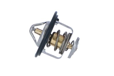 TERMOSTAT LICHID RACIRE NRF 725143 18
