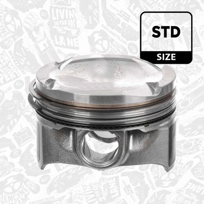 PISTON ET ENGINETEAM PM017300 1
