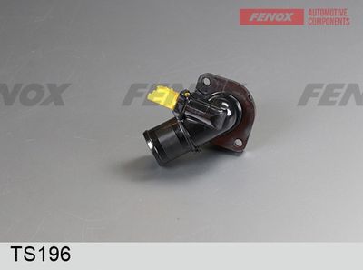 термостат, охладителна течност FENOX TS196