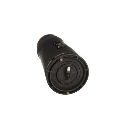 LUFTFEDER FAHRWERK Arnott A2202 45