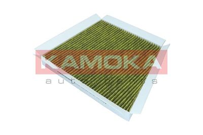 Filter, cabin air 6080028