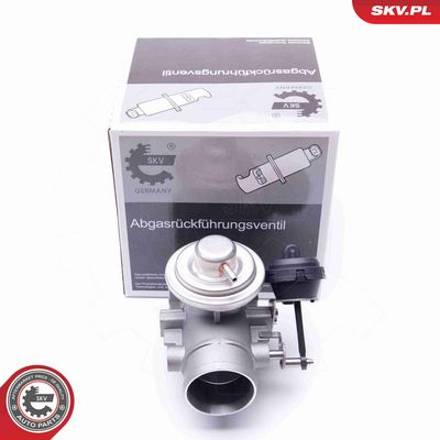 SUPAPA EGR ESEN SKV 14SKV107
