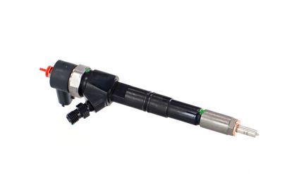 INJECTOR REMANTE 002003001391R 45