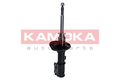 Shock Absorber 2001062