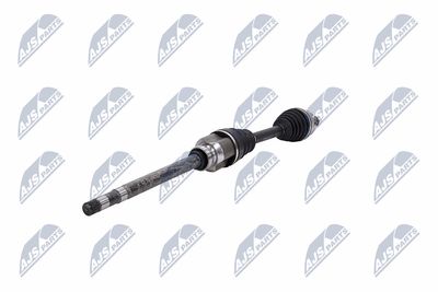 PLANETARA NTY NPWCT183 2