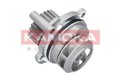 Water Pump, engine cooling T0029