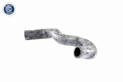 FURTUN RADIATOR VAICO V300227 2