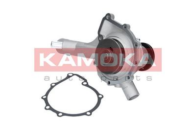 Water Pump, engine cooling T0186