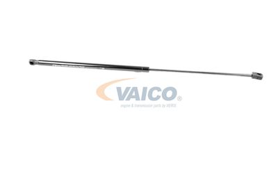 AMORTIZOR CAPOTA VAICO V302336 14