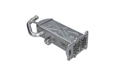 RADIATOR RECIRCULARE GAZE DE ESAPAMENT KAMOKA 19C071 2