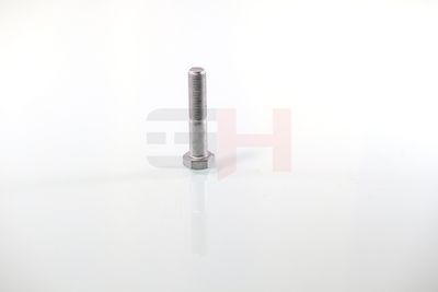 SURUB CAPAT DE AX GH GH392360 58