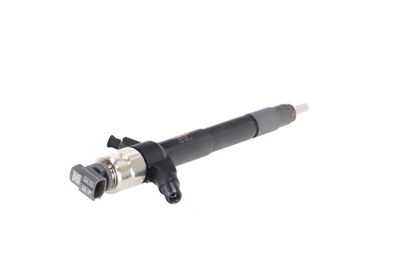 INJECTOR REMANTE 002003001019R 35