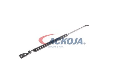 AMORTIZOR PORTBAGAJ ACKOJA A320095 54