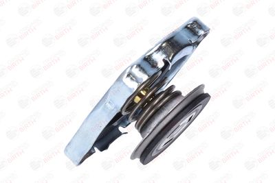 BUSON RADIATOR BIRTH 8087 4