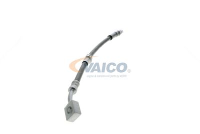 FURTUN FRANA VAICO V404110 54