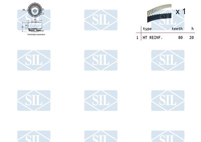 SET CUREA DE DISTRIBUTIE Saleri SIL TK1388 1