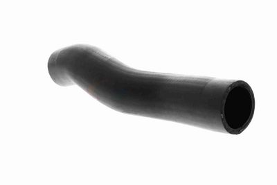 FURTUN EAR SUPRAALIMENTARE ACKOJA A529600 6