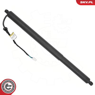 ESEN SKV Galinių durų elektros variklis