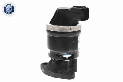 SUPAPA EGR ACKOJA A26630002 4