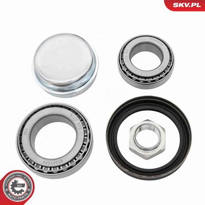 SET RULMENT ROATA ESEN SKV 85SKV084 1